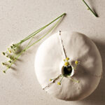 6141_Ocean-Foam_CloseUP-1920X1080