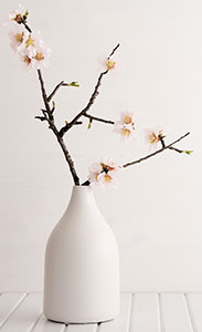 modern-Complementary-accessories-vase