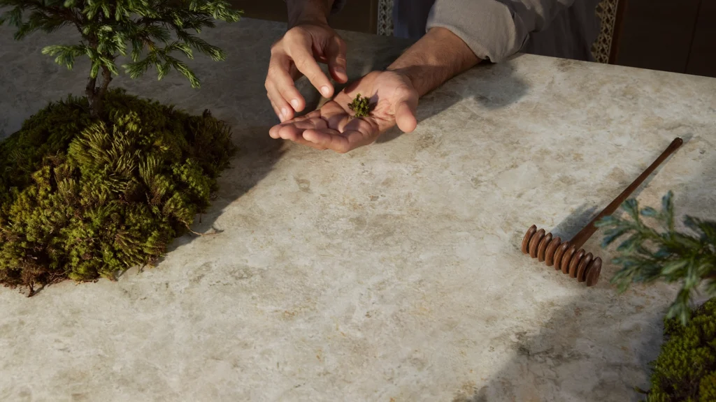 Caesarstone 542 Mosstone