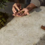 Caesarstone 542 Mosstone