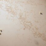 OOAK Caesarstone Collection