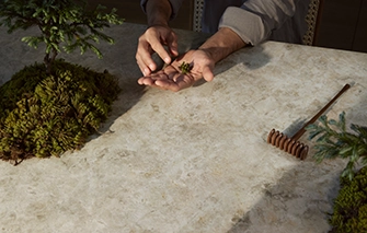 Caesarstone Countertop 542 Mosstone