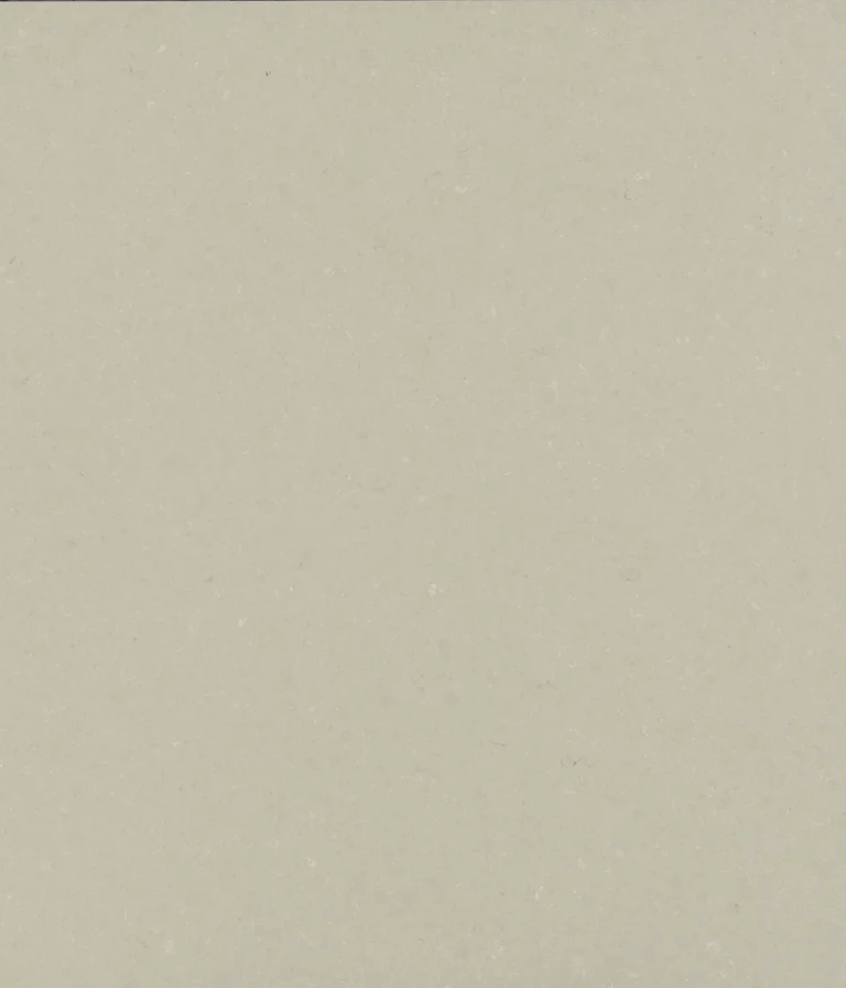 Caesarstone ICON 4101 Organic Dawn gray surface